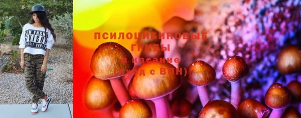 кокс Алзамай