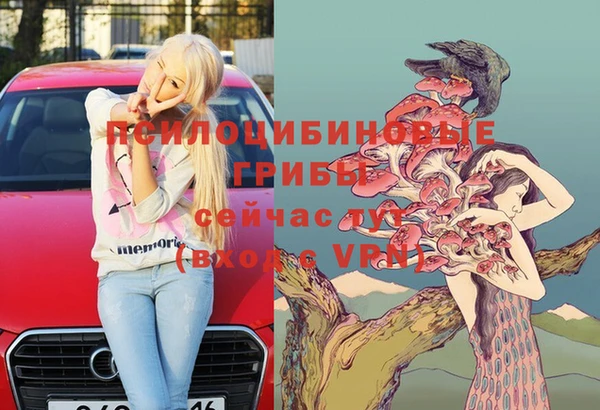 кокс Алзамай